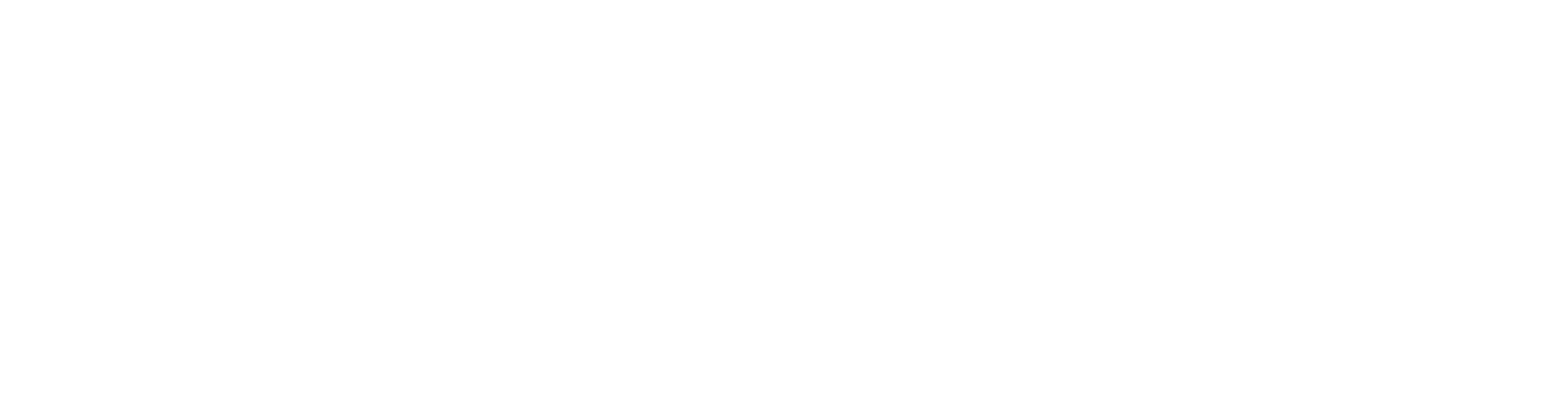 brand Inter-X